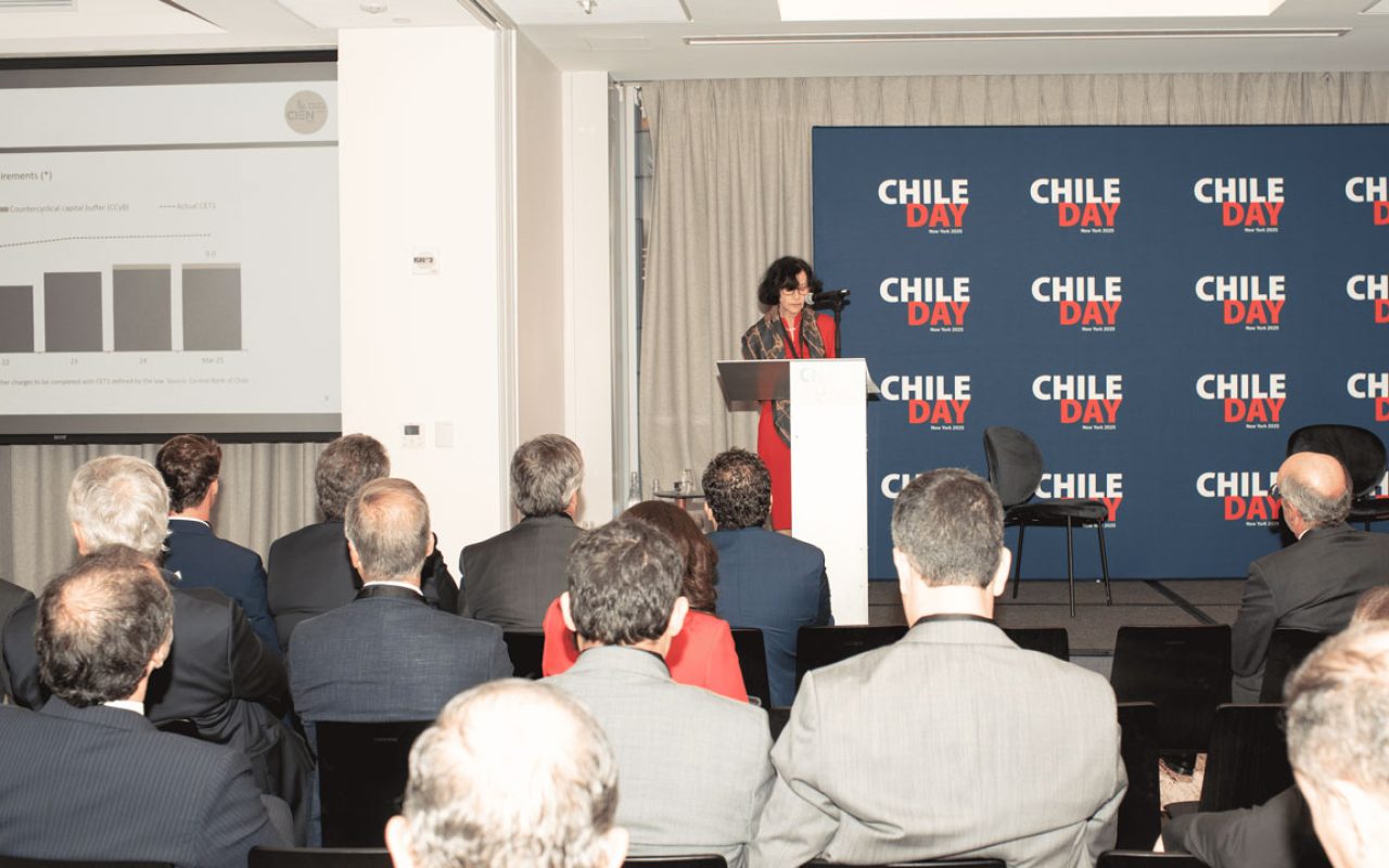 ChileDay NY 003